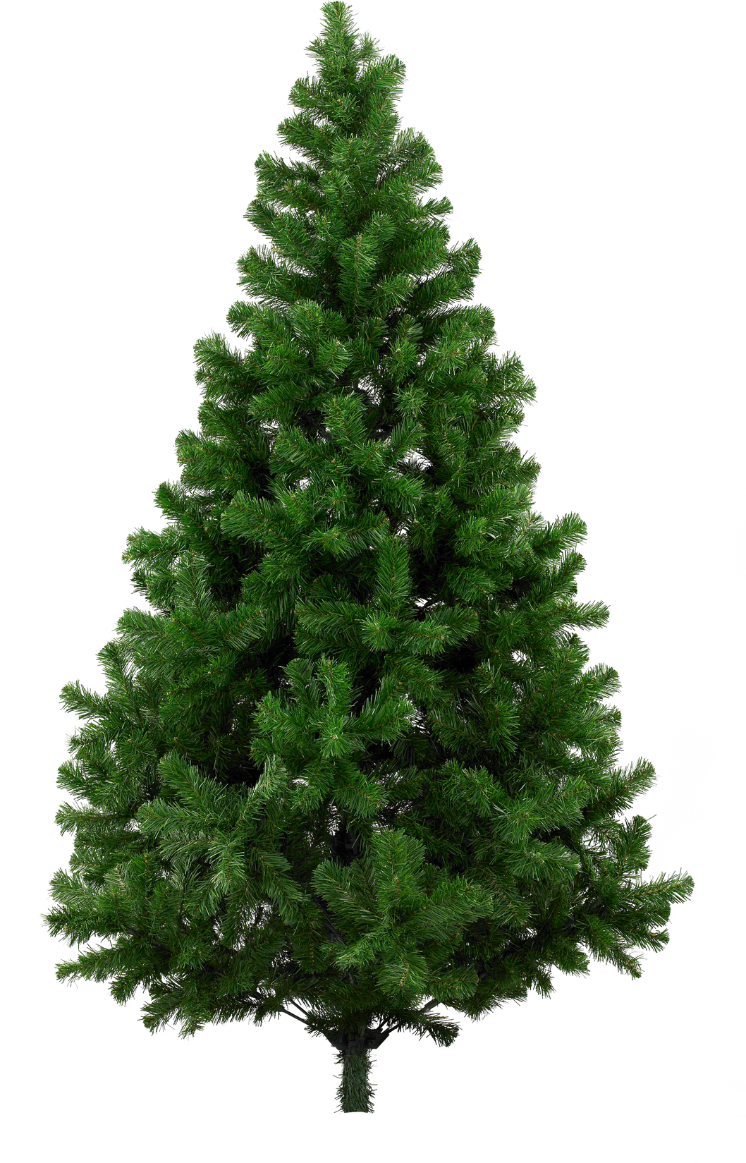 christmas tree, transparent background